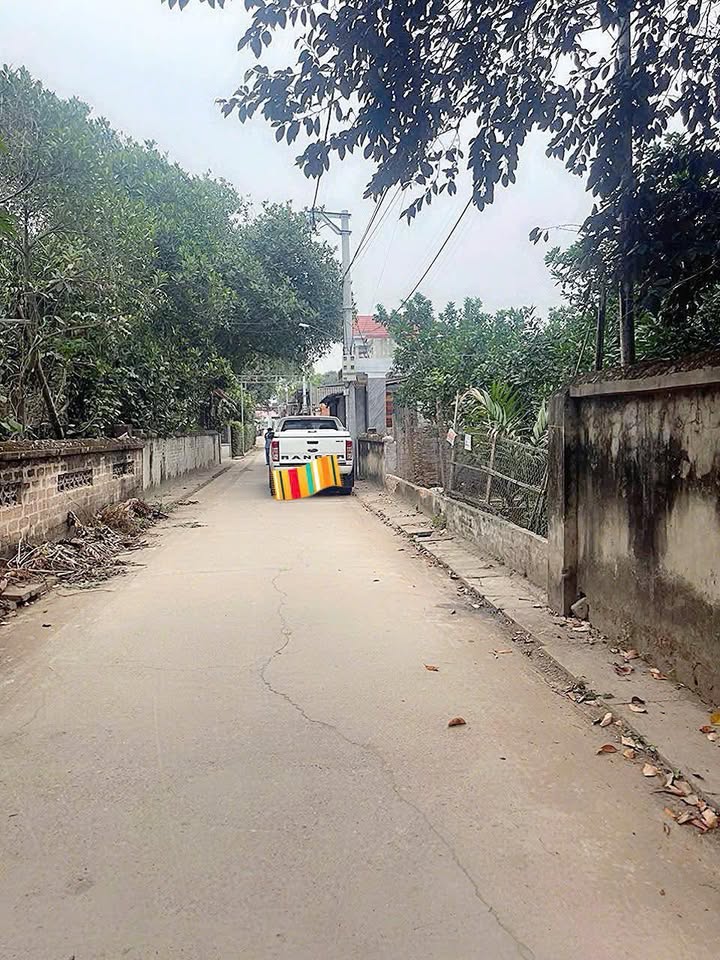 Đất Vân Phúc, Phúc Thọ 110m² - Vị trí đẹp, đầu tư sinh lời!