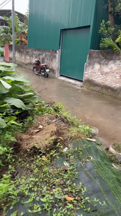 Đất nền lô góc 67m² tại Thọ Xuân, Đan Phượng - Vị trí đẹp, giá mềm!