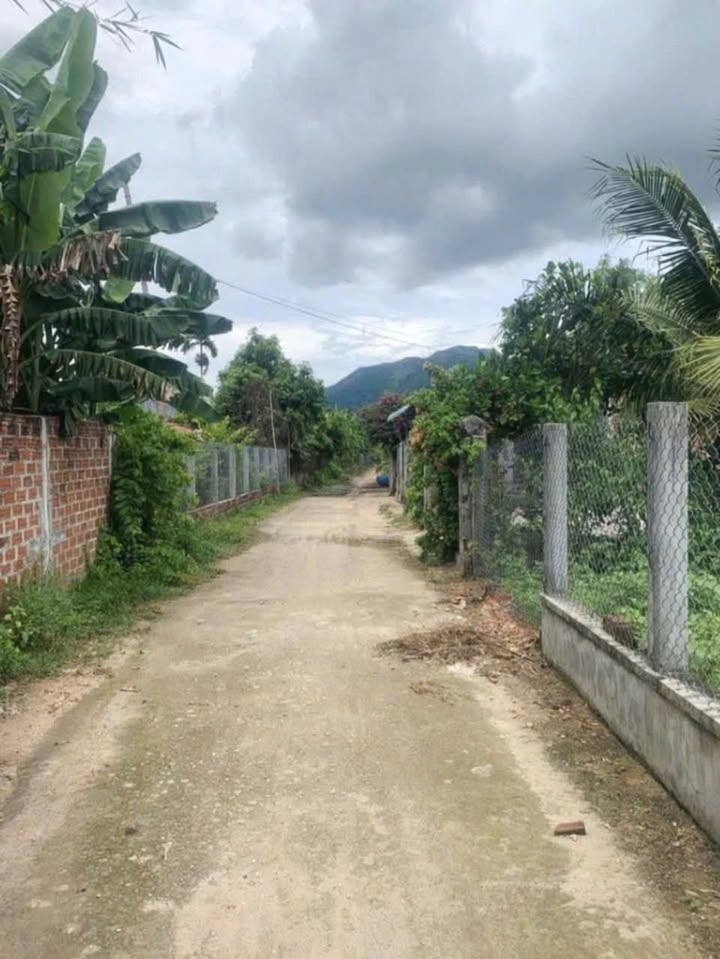 Đất nền Bình Nghi, Tây Sơn 100m² giá chỉ 200 triệu - Cơ hội hiếm có!