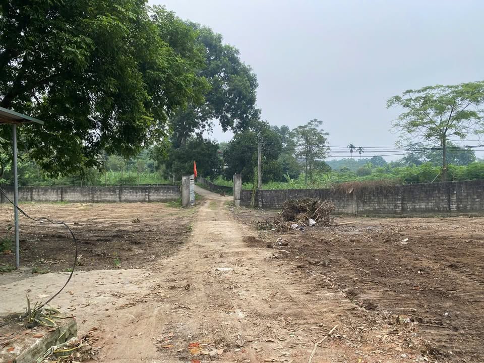 Farm 5844m² tại Ba Trại, Ba Vì - Cơ hội đầu tư tuyệt vời!