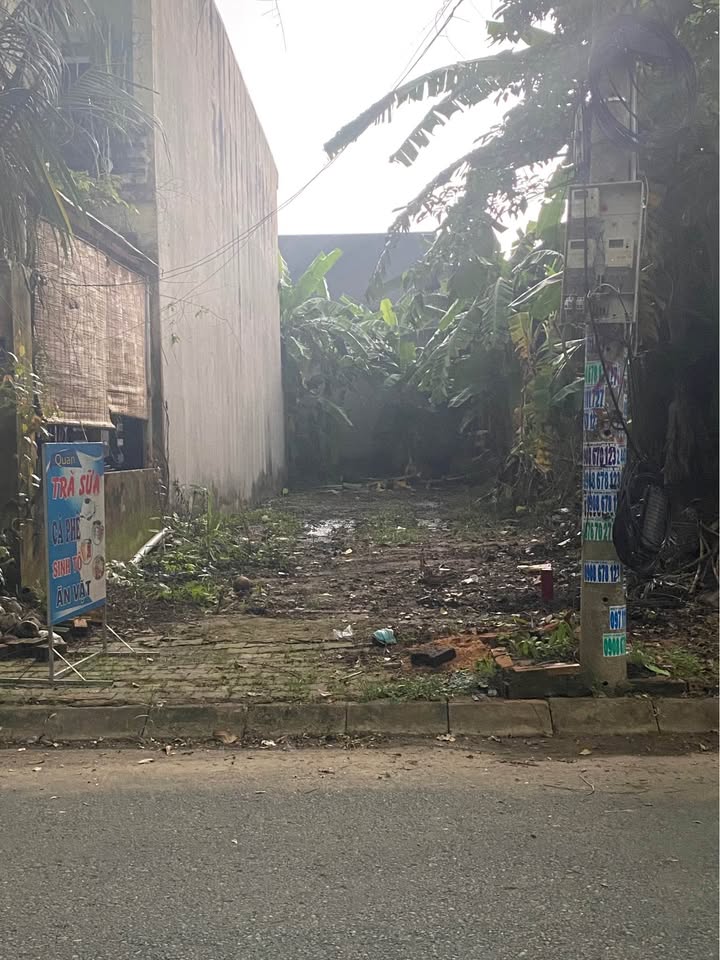 Đất nền thổ cư KDC Trần Anh, Mỹ Hạnh, Đức Hòa 80m² giá 1.45 tỷ - Vị trí thuận lợi, đầu tư sinh lời!