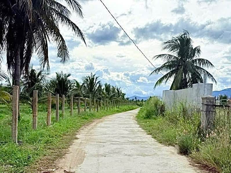 Đất thổ cư Vạn Thắng 300m² giá 1.9 tỷ - Đầu tư sinh lời ngay gần sân bay Vân Phong!