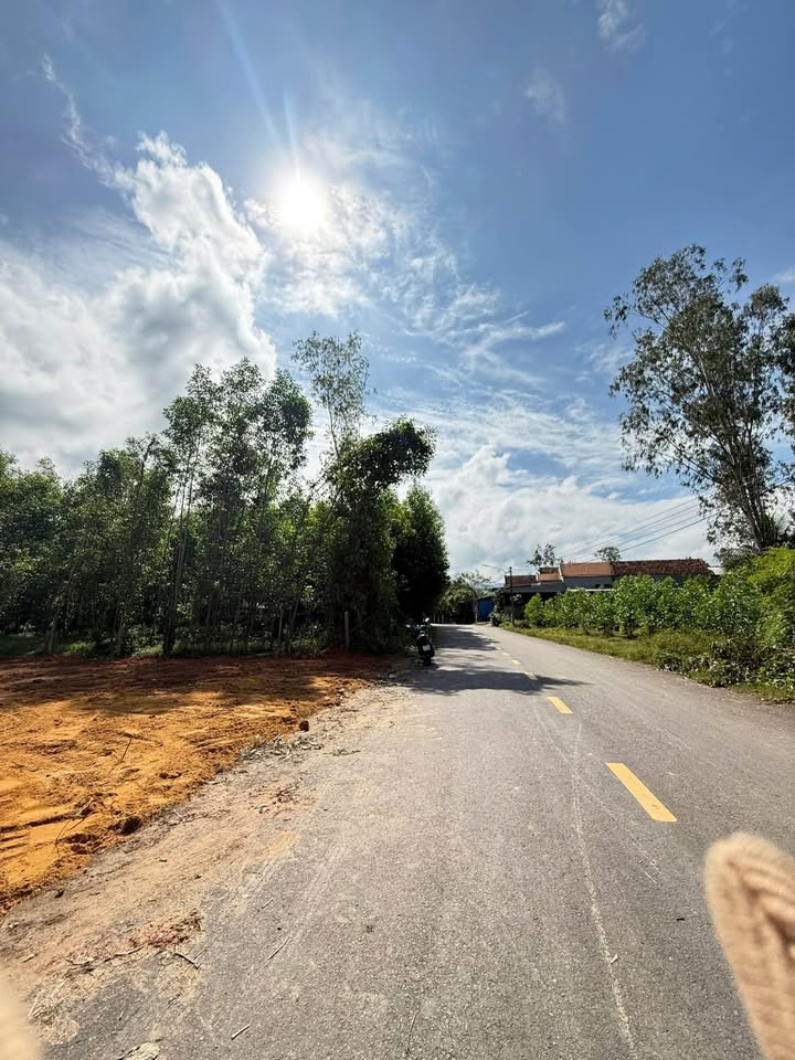 Đất mặt tiền đường nhựa Tân Nam Nhơn 150m² giá 3xx triệu - Cơ hội đầu tư hấp dẫn!