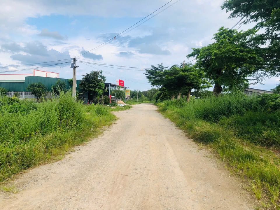 Đất thổ cư La Gi 105m² giá 1 tỷ - Tiềm năng sinh lời cao!