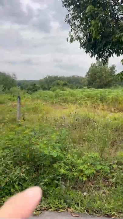 Đất nền An Linh, Phú Giáo, Bình Dương 400m² giá 1.1 tỷ - Vị trí dân cư đông đúc, điện nước đầy đủ!