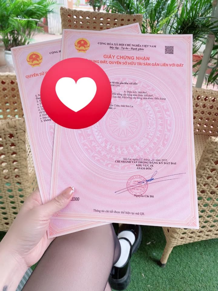 Đất thổ cư Mộc Châu 5000m² giá 650 triệu - Đường ô tô vào tận nơi!