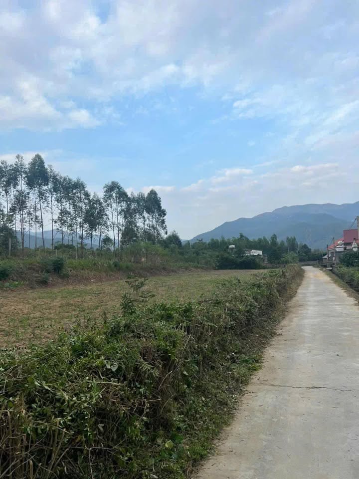 Đất nền Tràng Lương Đông Triều 100m² giá chỉ 200 triệu - Đầu tư sinh lời ngay!