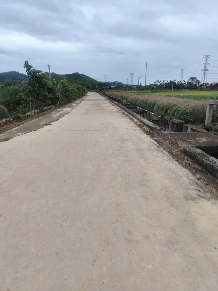 Đất CLN 1300m² tại An Sinh, Đông Triều chỉ 400 triệu - Cơ hội đầu tư tuyệt vời!