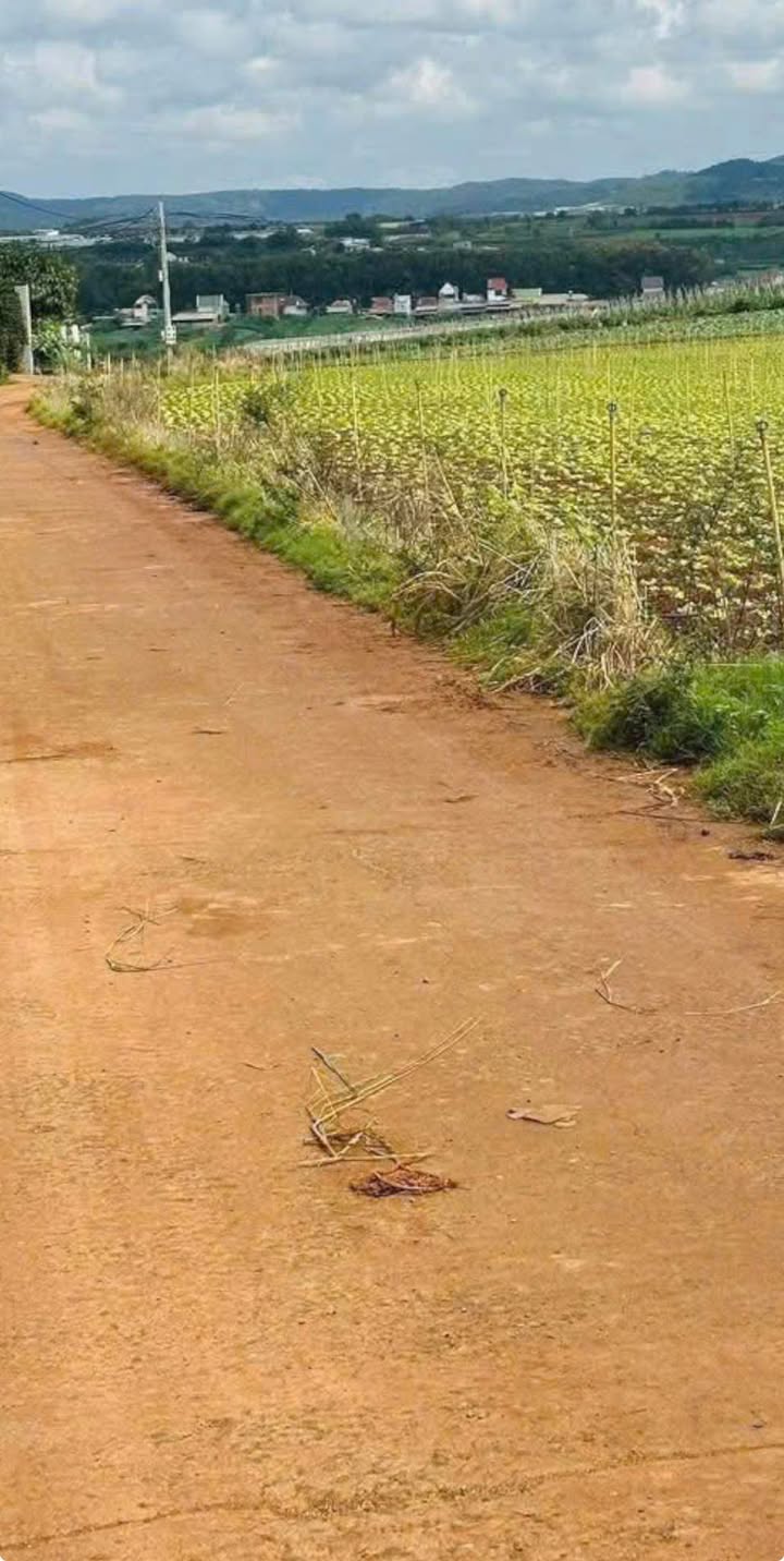 Đất nền Đạ Ròn 100m² giá 880 triệu - Cơ hội đầu tư hấp dẫn!