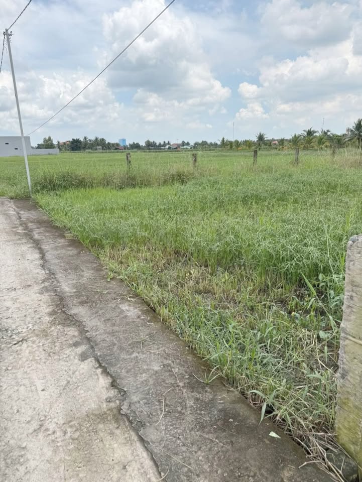 Đất thổ cư 5x42m Phú Ngãi Trị Châu Thành - 389 triệu đồng, sổ hồng chính chủ!