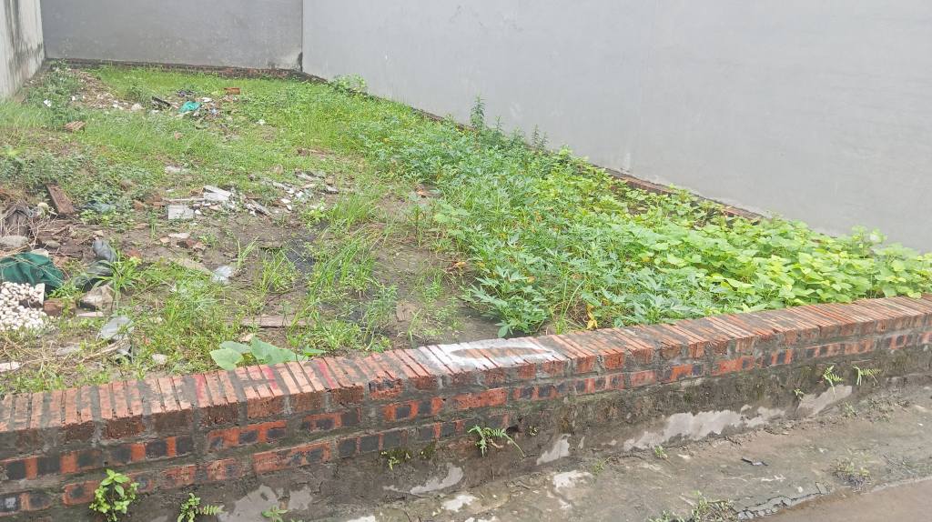 Đất nền Nguyên Khê Đông Anh 115m² giá 7.245 tỷ - Cơ hội đầu tư hiếm có!