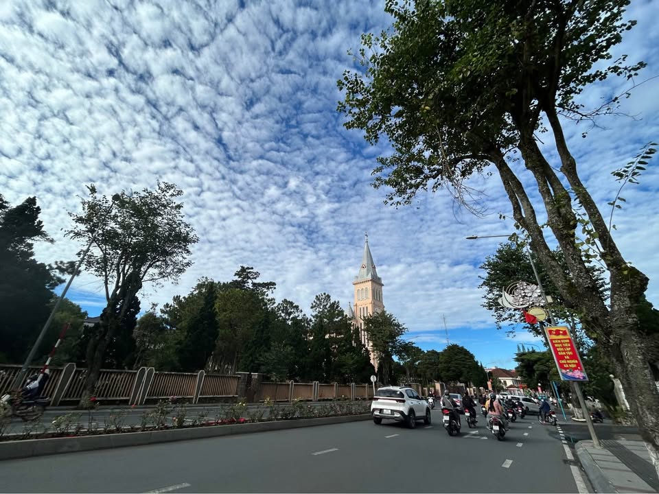 Đất xây dựng 82m² tại Đà Lạt giá 3,1 tỷ - Đường ô tô vào tận nơi!