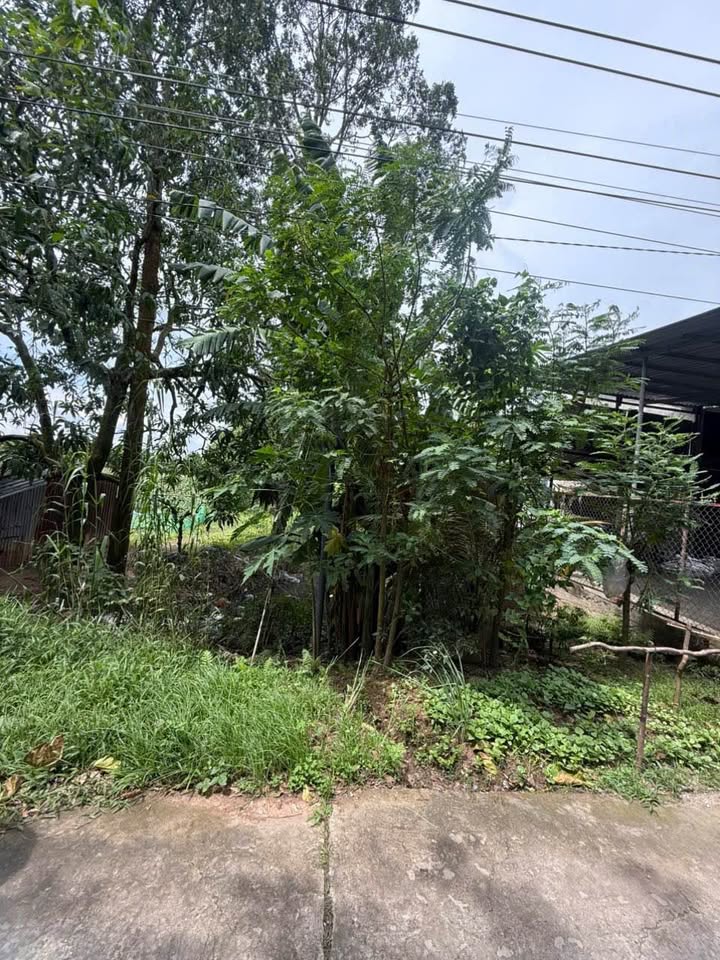 Đất nền Trần Trọng Khiêm, Tịnh Thới, Cao Lãnh 147,5m² giá 800 triệu - Cơ hội đầu tư tuyệt vời!