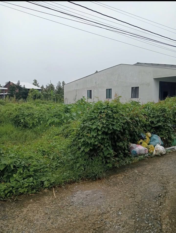 Đất thổ cư mặt tiền lộ Pêtông 135m² giá 320 triệu - Cơ hội đầu tư sinh lời!