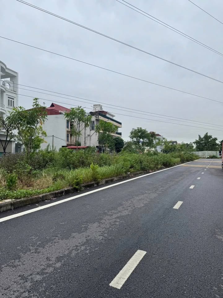 Đất nền tái định cư Sở Tư Pháp Hải An 93m² giá 8 tỷ - Sổ hồng chính chủ!