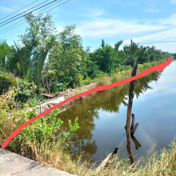 Đất vuông tôm 14400m² tại ấp 8B, xã Phong Thạnh Tây A, giá 936 triệu - Cơ hội đầu tư tuyệt vời!