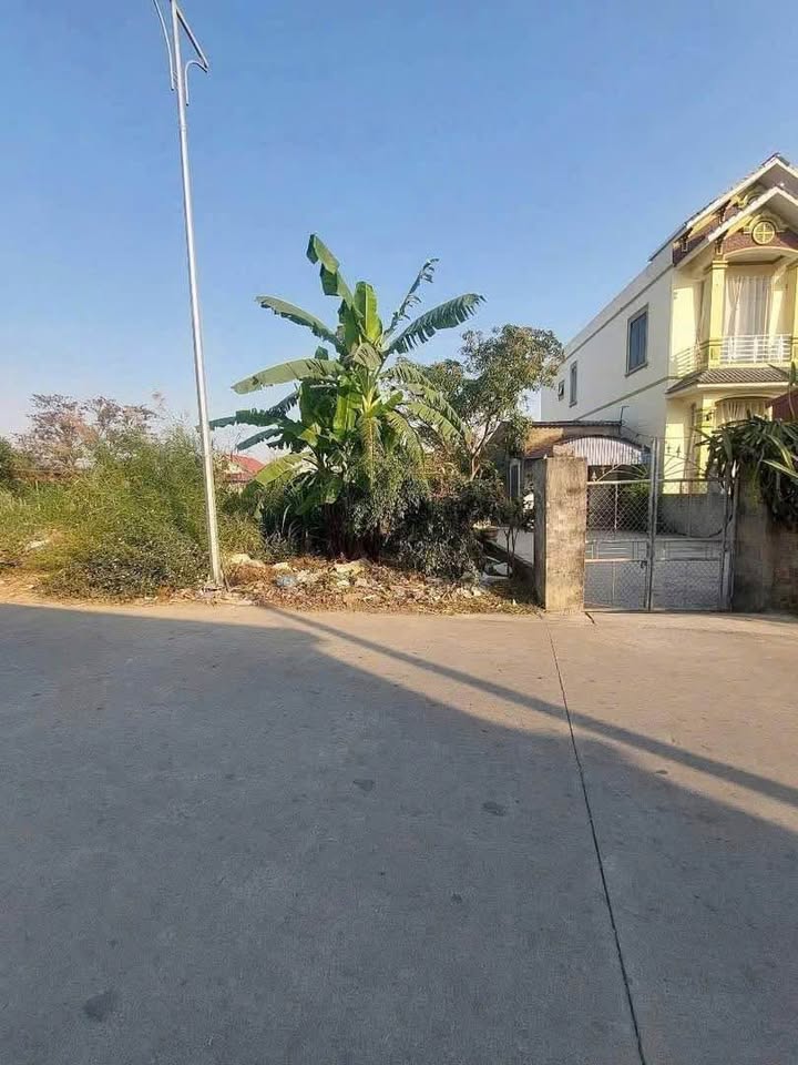 FrontHouse Tiên Cường Tiên Lãng 90m² giá 1.4 tỷ - Mặt chợ kinh doanh sầm uất!