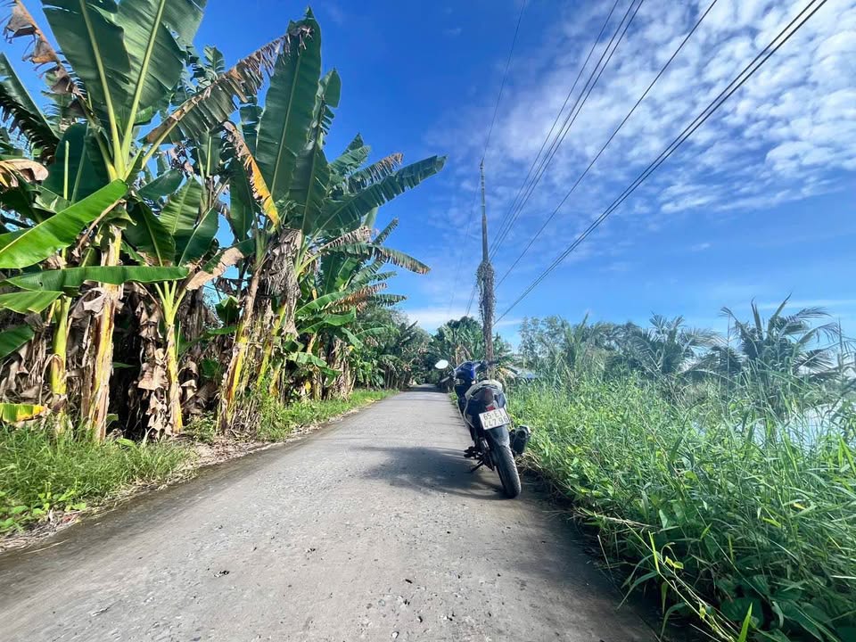 Đất ruộng Ô Môn Cần Thơ 9535m² giá 5.5 tỷ - Sổ đỏ chính chủ, gần trung tâm!