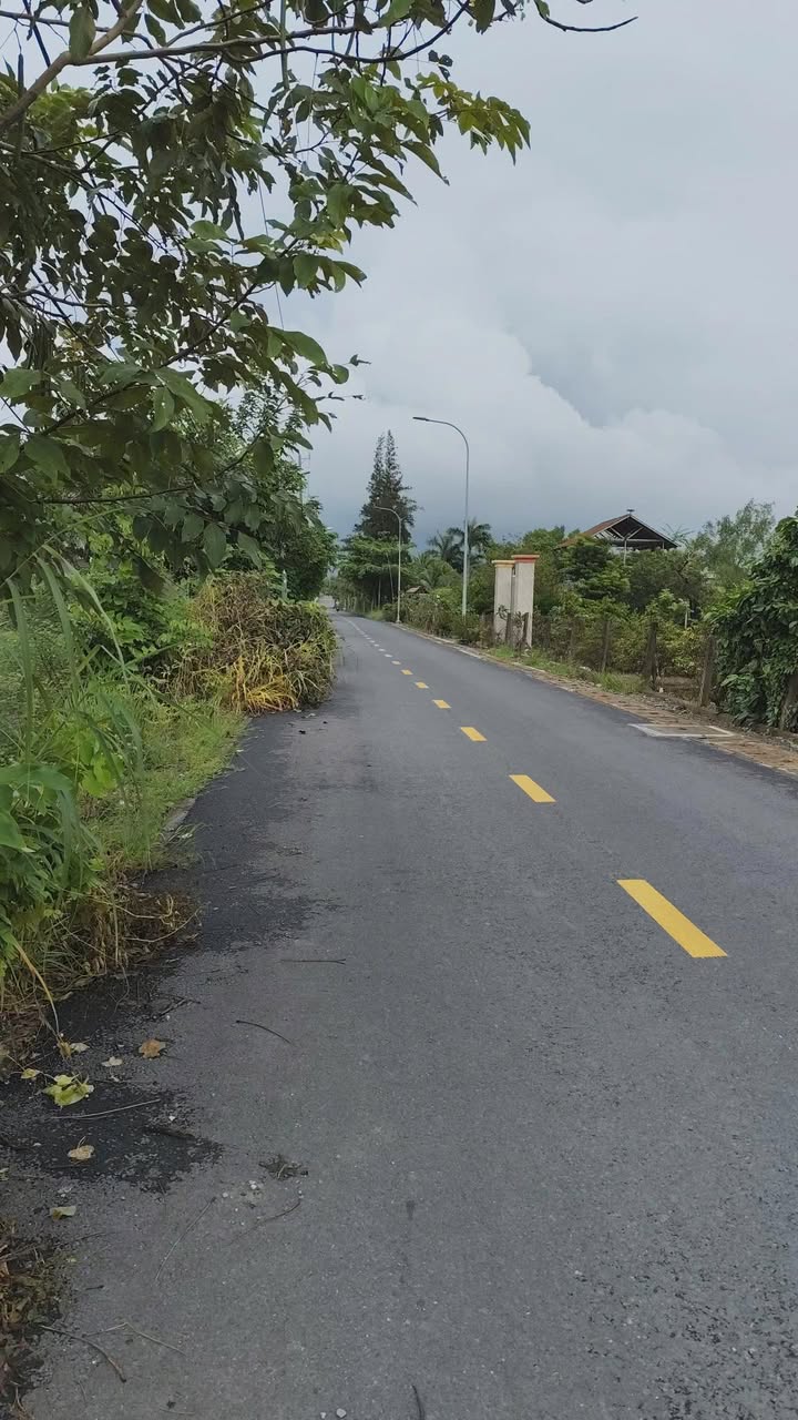 Đất nền đường Lương Ngang, Tân Nhựt 1000m² giá chỉ 3.8 tỷ - Cơ hội đầu tư tiềm năng!