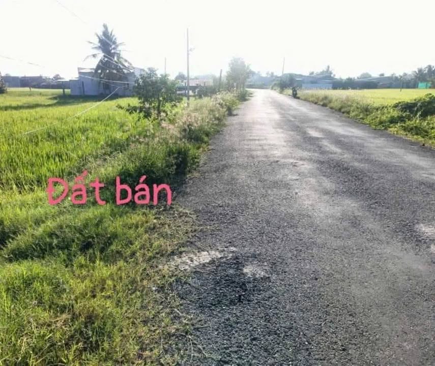 Đất lúa 2185m² mặt tiền đường Tân Trạch - Mỹ Lệ giá 2.1 tỷ - Sổ đỏ chính chủ!