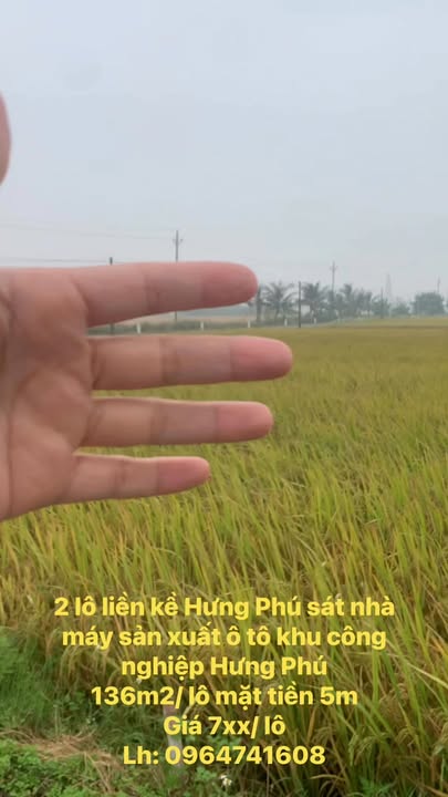 Đất liền kề Hưng Phú Tiền Hải 136m² - Vị trí sát nhà máy ô tô