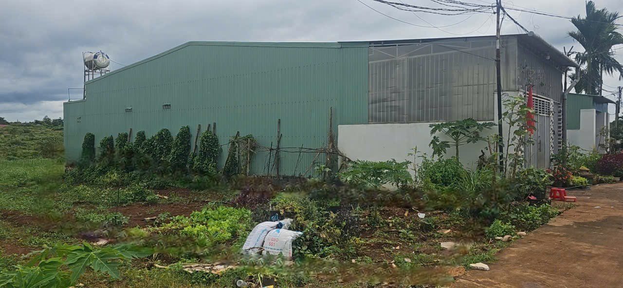 Đất nền phường An Phú, Pleiku 150m² giá chỉ 600 triệu - Cơ hội đầu tư tuyệt vời!