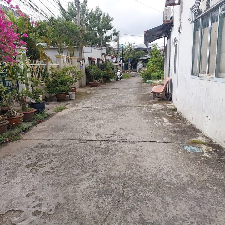 Đất tặng nhà cũ tại Sa Đéc 50m² giá 830 triệu - Gần trung tâm tiện ích!