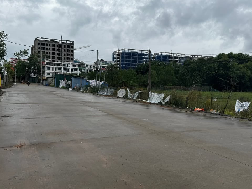 Đất nền Tiến Thắng Mê Linh 115m² - Chính chủ, giá tốt, đầu tư sinh lời!