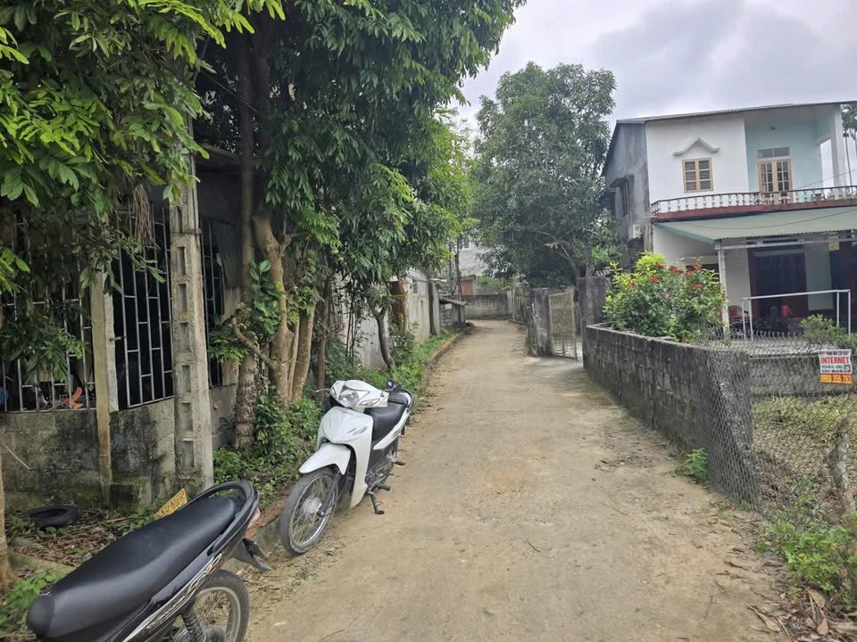 Đất thổ cư thôn 6, xã Trung Môn, 121m² giá 1.216 tỷ - Ô tô vào tận nơi!