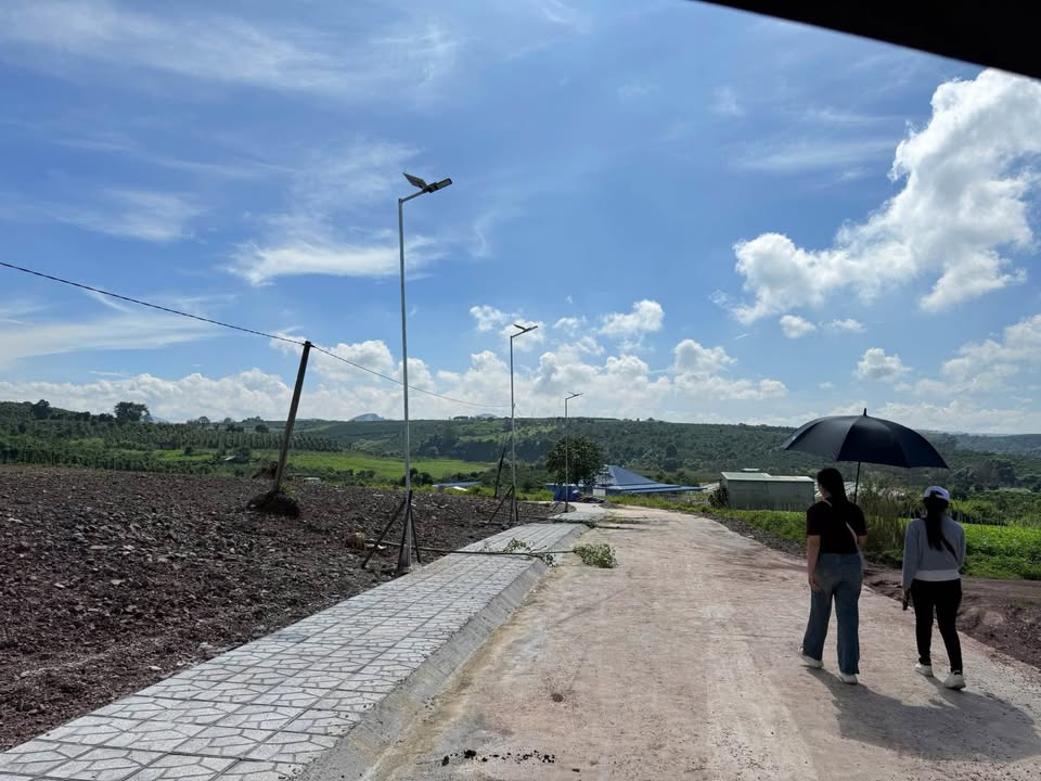 Đất nền Tân Hà Lâm Hà 1023m² chỉ 910 triệu - Sổ hồng riêng công chứng ngay!