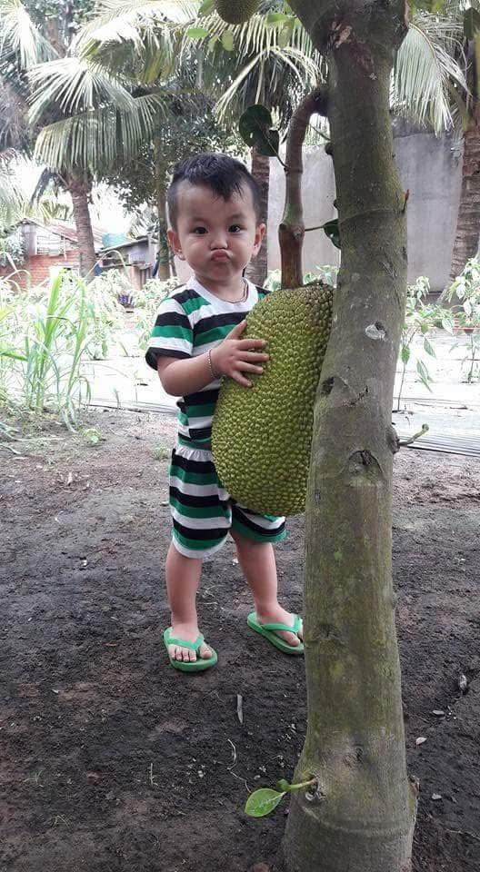 Đất nền Phước Long Thọ 394m² giá chỉ 380 triệu - Cơ hội đầu tư tuyệt vời!