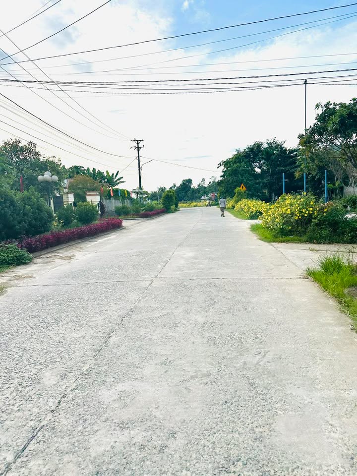 Đất mặt tiền DH8 Tam Thái Phú Ninh 175m² giá từ 890 triệu - Cơ hội đầu tư sinh lời!