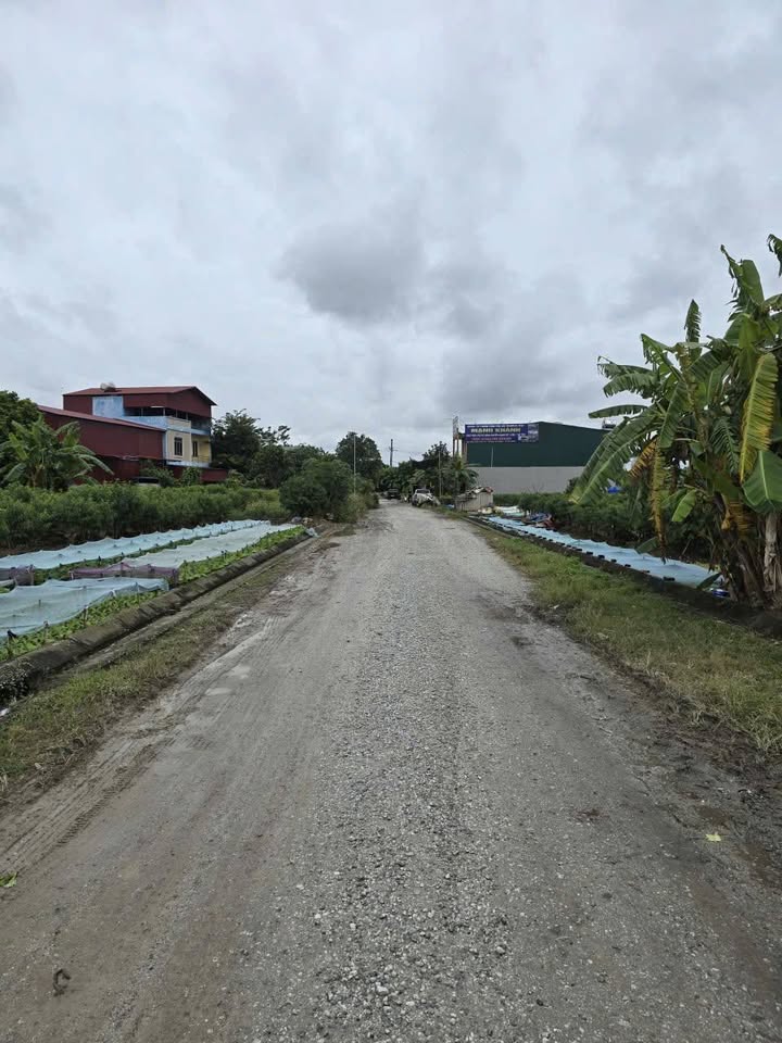 Đất nền đấu giá 80m² Võ Cường - Bắc Ninh giá 5 tỷ - Đầu tư sinh lời ngay!