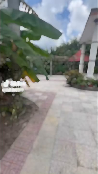 Farm nhà vườn Long Hòa, Dầu Tiếng 3367m² giá 3 tỷ - Cơ hội đầu tư lý tưởng!