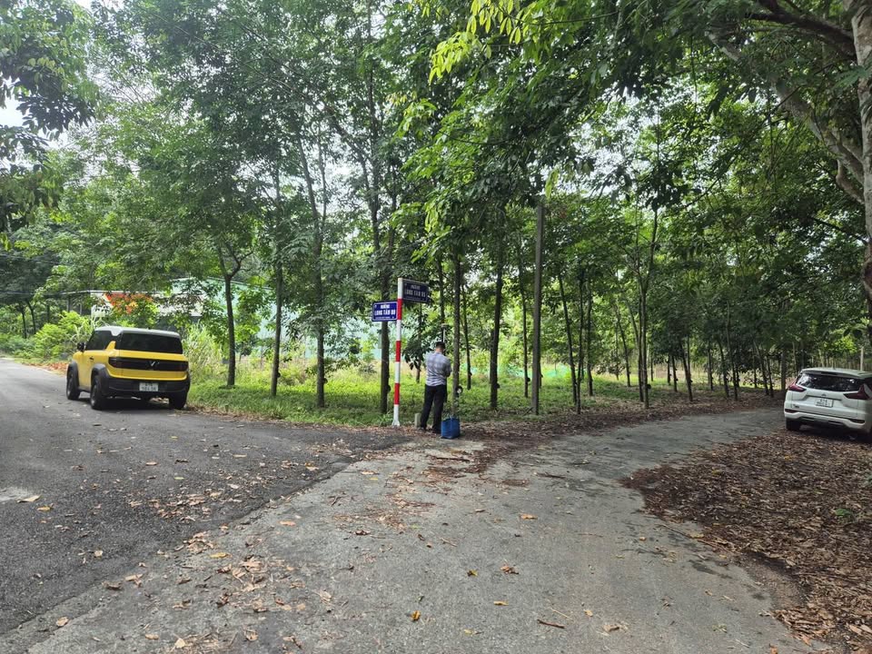 Đất nền Dầu Tiếng Bình Dương 215m² giá chỉ 5xx triệu - Sổ hồng chính chủ!