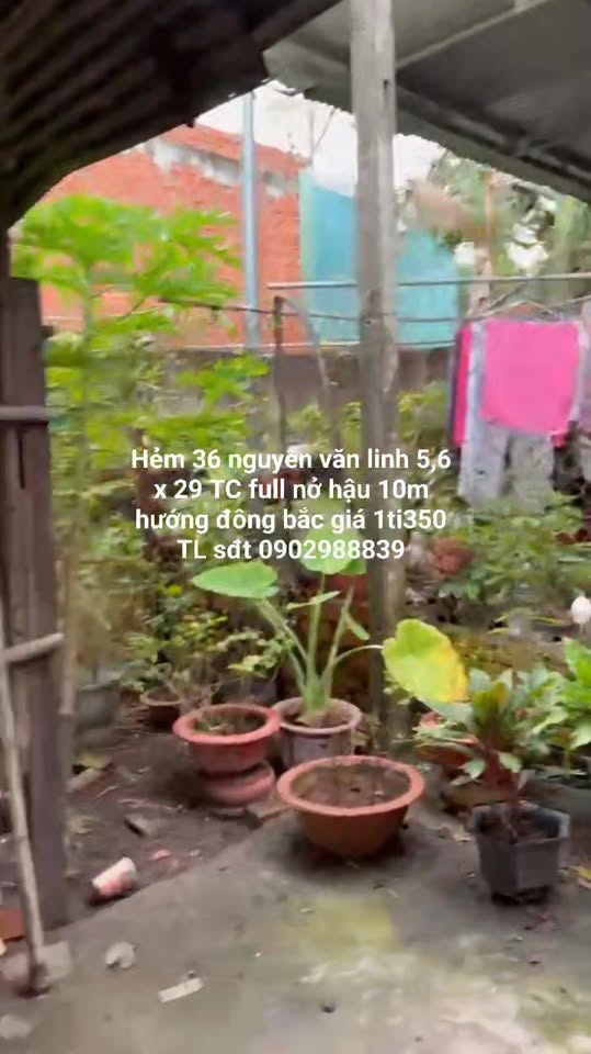 Nhà hẻm 36 đường Nguyễn Văn Linh, phường Long Hoa, 162m² giá 1.35 tỷ - Thương lượng tốt!
