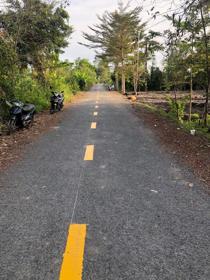 Đất lúa mặt tiền đường Ông Hộ, Tân Quy Tây 3500m² - Giá chỉ 4.375 tỷ!