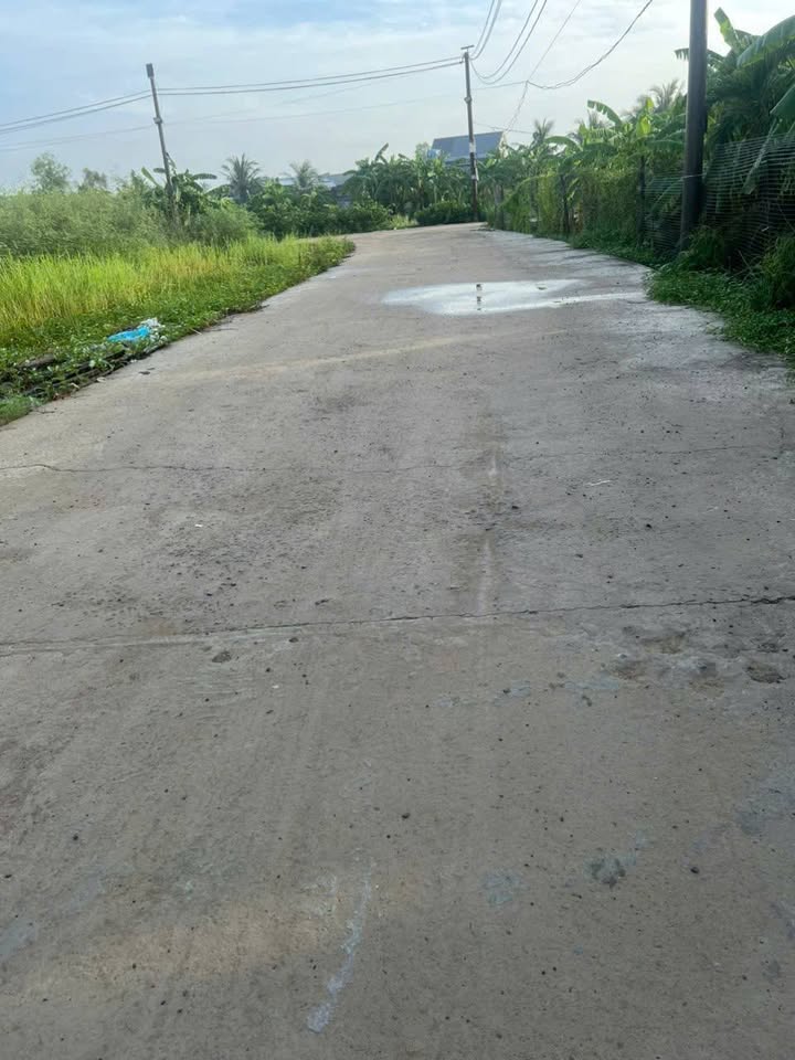 Nhà cấp 4 xã Phước Vân, huyện Cần Giuộc 100m² giá 1.9 tỷ - Tặng nội thất cao cấp!