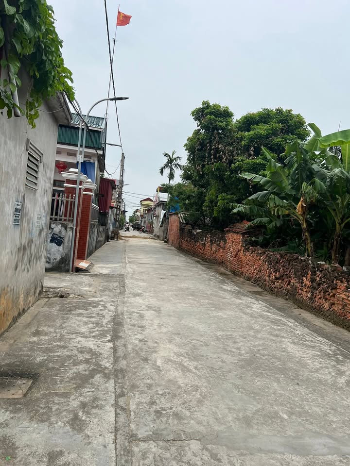 Đất An Tiêm Thụy Dân 100m² giá chỉ 800 triệu - Lô góc tiện lợi!