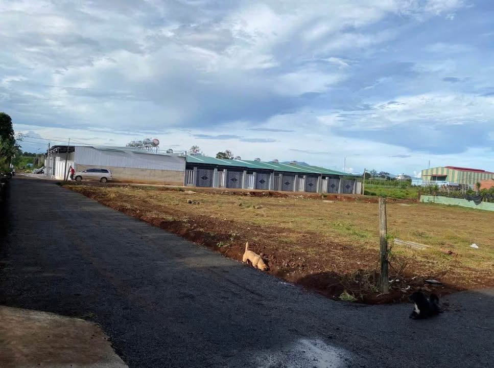 Đất nền Hẻm 46 Nguyễn Kiệm, Pleiku 100.8m² giá 400 triệu - Khu dân cư an ninh, yên tĩnh!