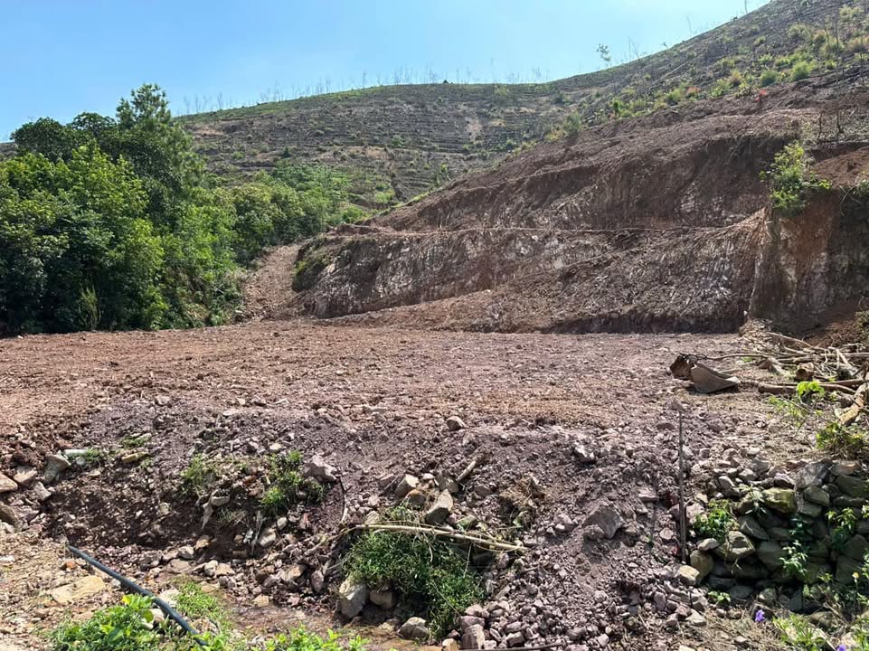 Đất nền Yên Dũng 7000m² giá thỏa thuận - Cơ hội đầu tư hấp dẫn!