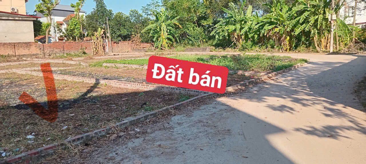 Đất thổ cư Kim Anh 79m² giá 1.6 tỷ - Sổ đỏ chính chủ giao ngay!