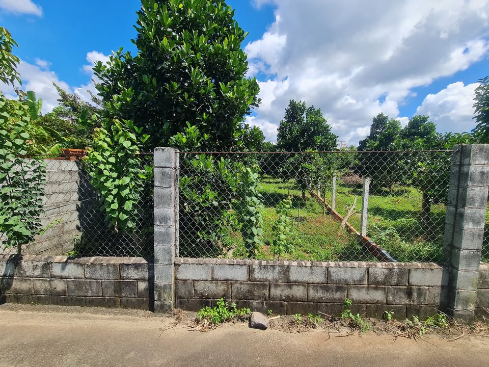 Đất nền Suối Nghệ Châu Đức 240m² giá 1.05 tỷ - Đường nhựa, khu dân cư đông đúc!