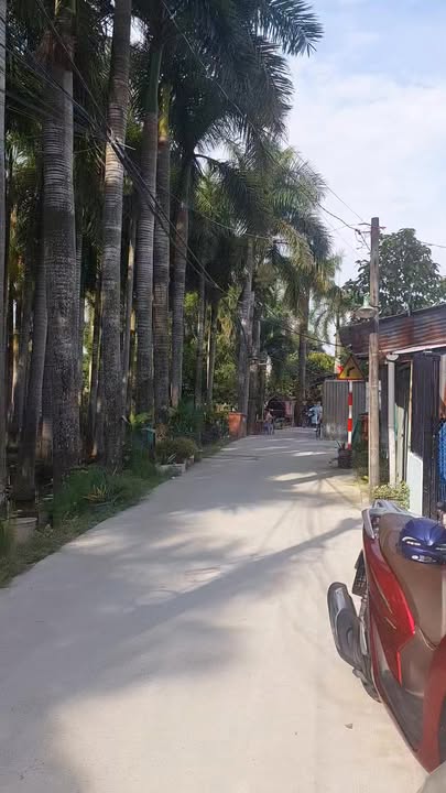 Nhà cho thuê tại Đa Phước, Bình Chánh, 81m² chỉ 5 triệu/tháng - Hẻm xe hơi vào tận nơi!