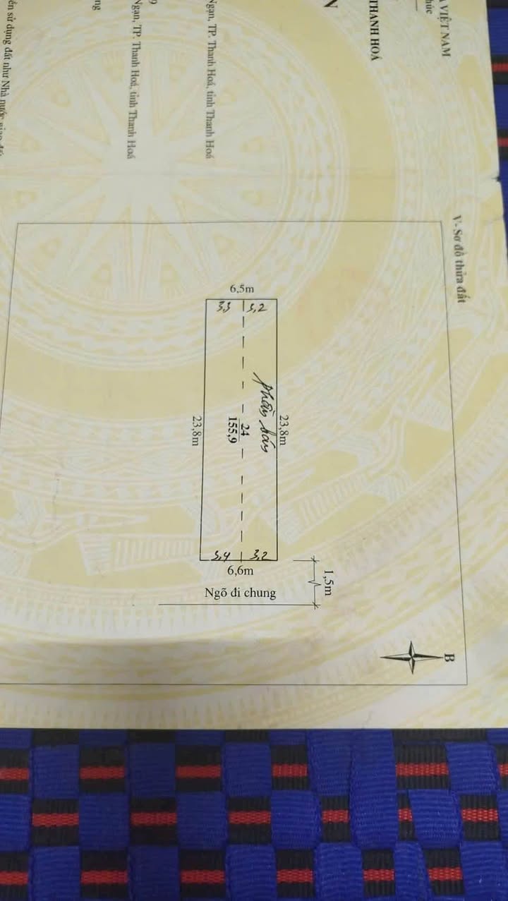 Nhà cấp 4 Nam Ngạn 80m² giá 1 tỷ - Cơ hội sở hữu ngay!