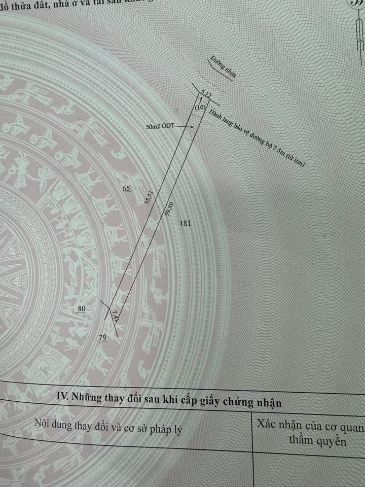 Nhà cấp 4 chính chủ 448m² tại Ấp Thanh Thủy, Bù Đốp - Sẵn sàng dọn vào ở!
