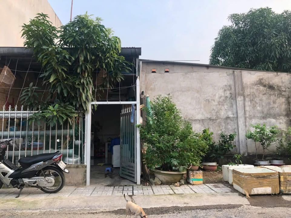 Nhà 2 mặt tiền đường Nguyễn Thanh Sơn, Bình Khánh, 82m² - Giá chỉ 1 tỷ!