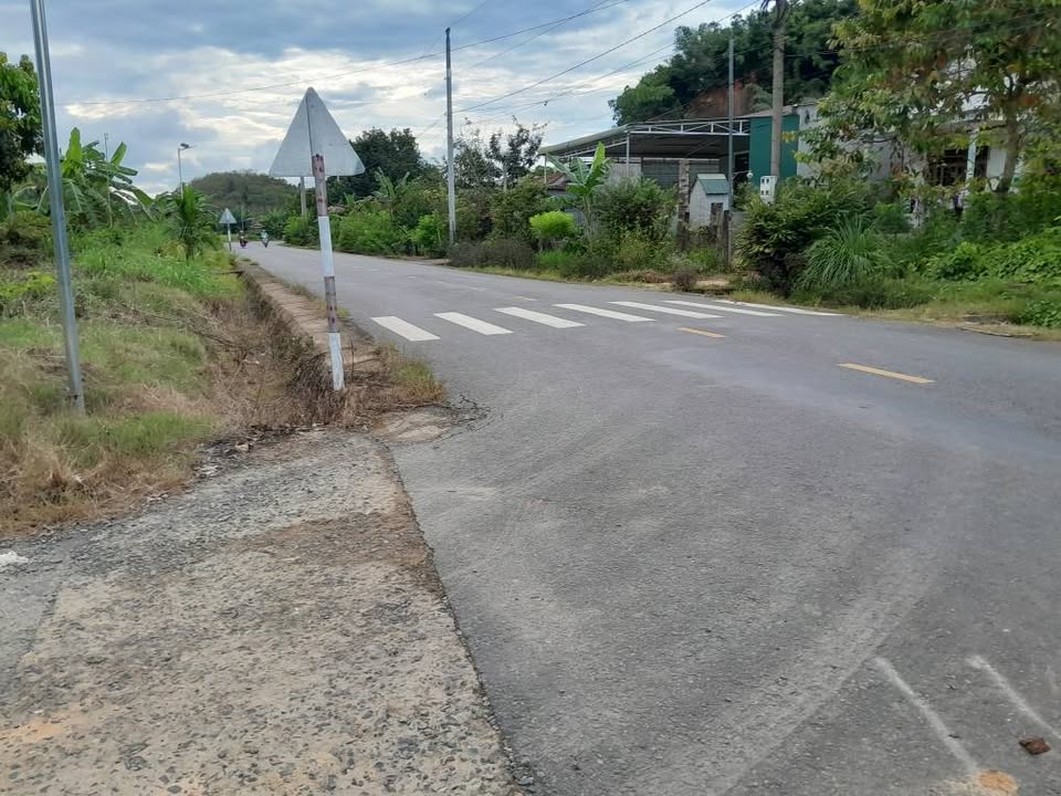 Đất nền Cát Tiên Lâm Đồng 2600m² giá 2.2 tỷ - Sổ đỏ chính chủ!