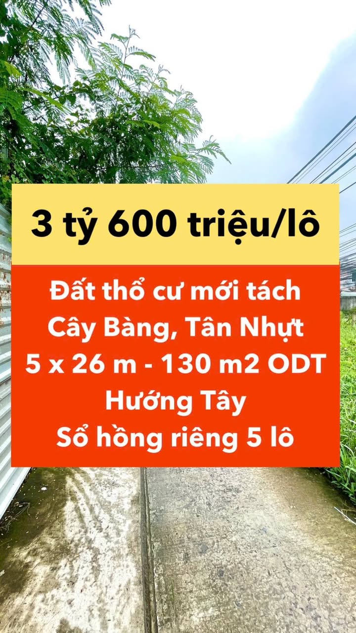 Đất nền Tân Nhựt, Bình Chánh 130m² giá 3.6 tỷ - Sổ hồng riêng, xây dựng tự do!