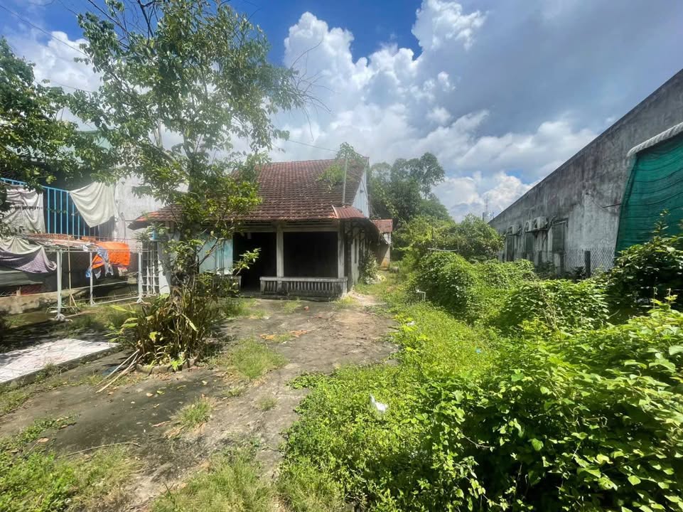 Đất thổ cư 612,5m² tại Cái Sắn, Mỹ Thạnh, Long Xuyên chỉ 2.1 tỷ - Sổ hồng chính chủ!